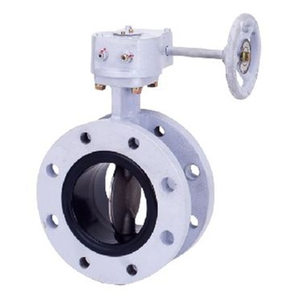 KITZ開滋球墨鑄鐵蝶閥VG-10NFJUE-65A